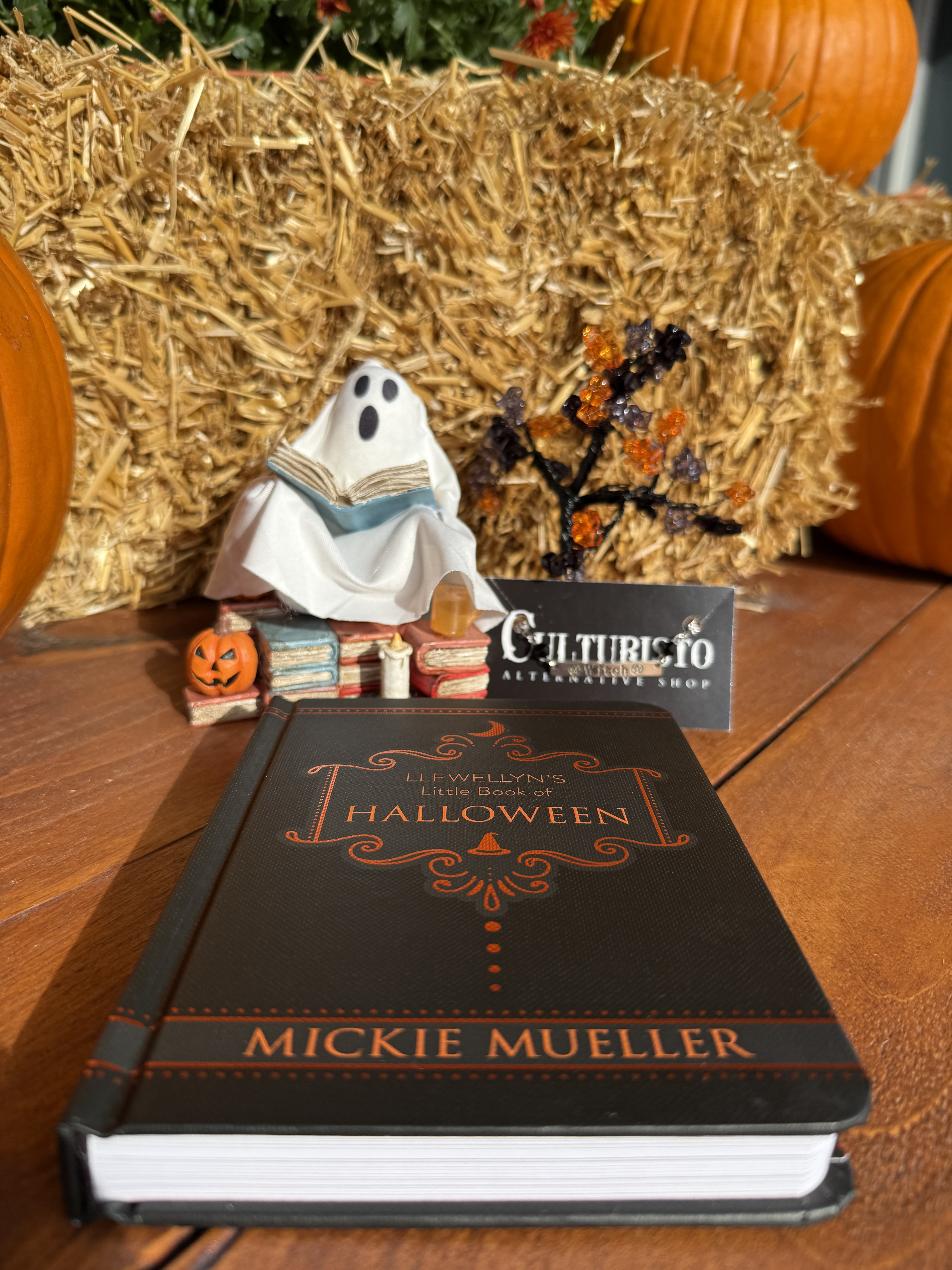Little Book Of Halloween Llewellyn's Little Book of Halloween