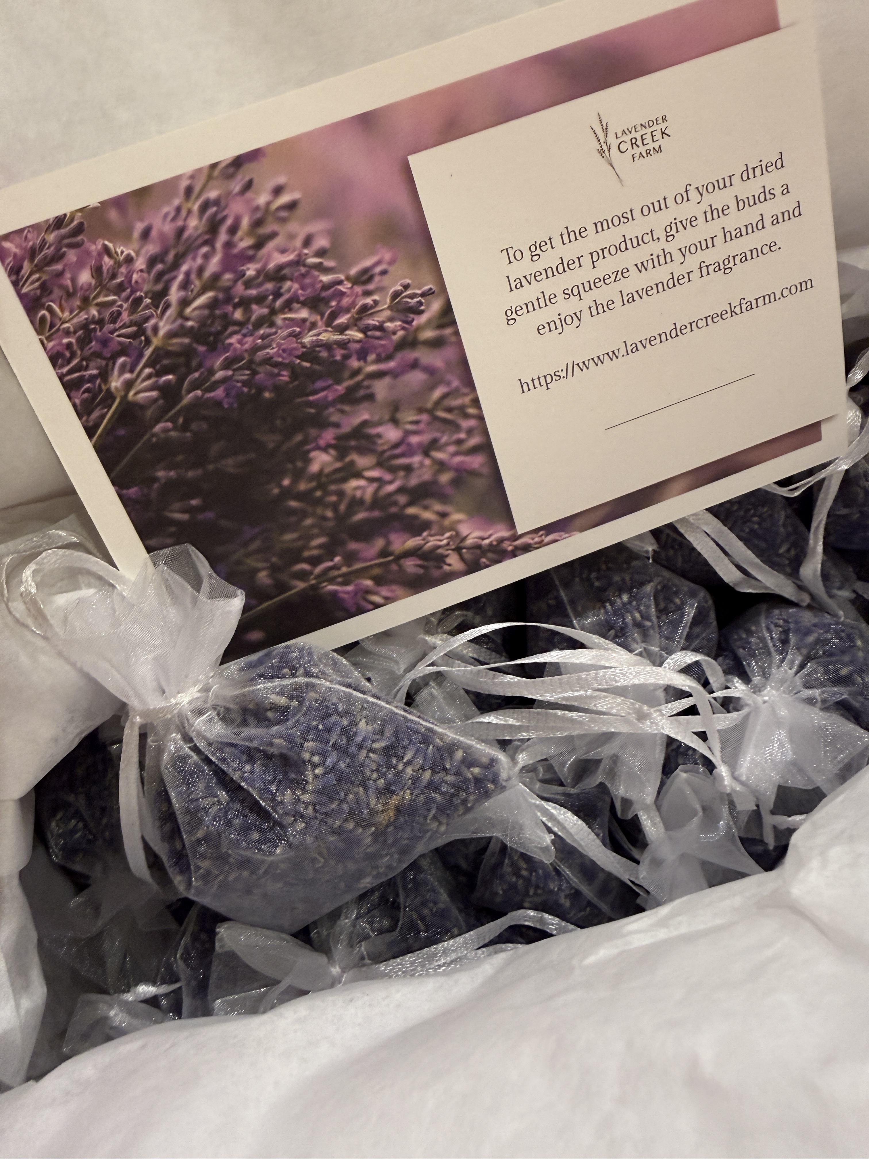Real Lavender in Toronto